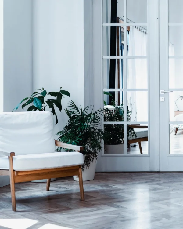 interior-design-zoom-calls-with-plants-3 (1)